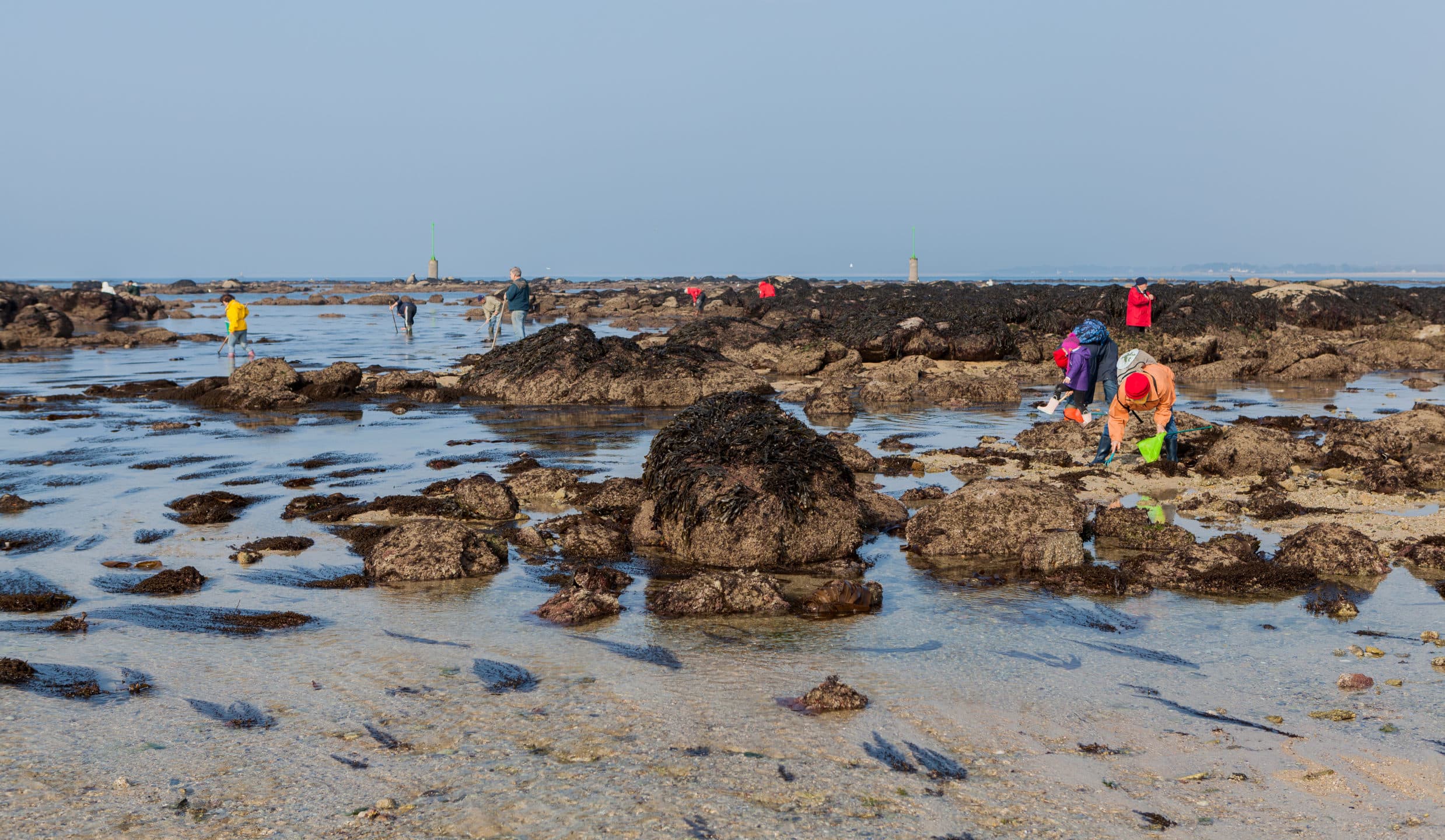 peche à pieds mer camping